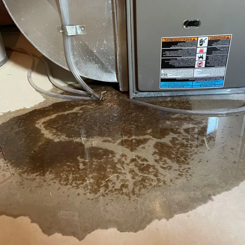 Pipe Burst and Leak Restoration in East Village, NY